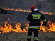 Nie wypalaj traw, bo jest to szkodliwe, niebezpieczne i grożą za to kary!!! Fot. © terazJaslo.pl / DAMIAN PALAR