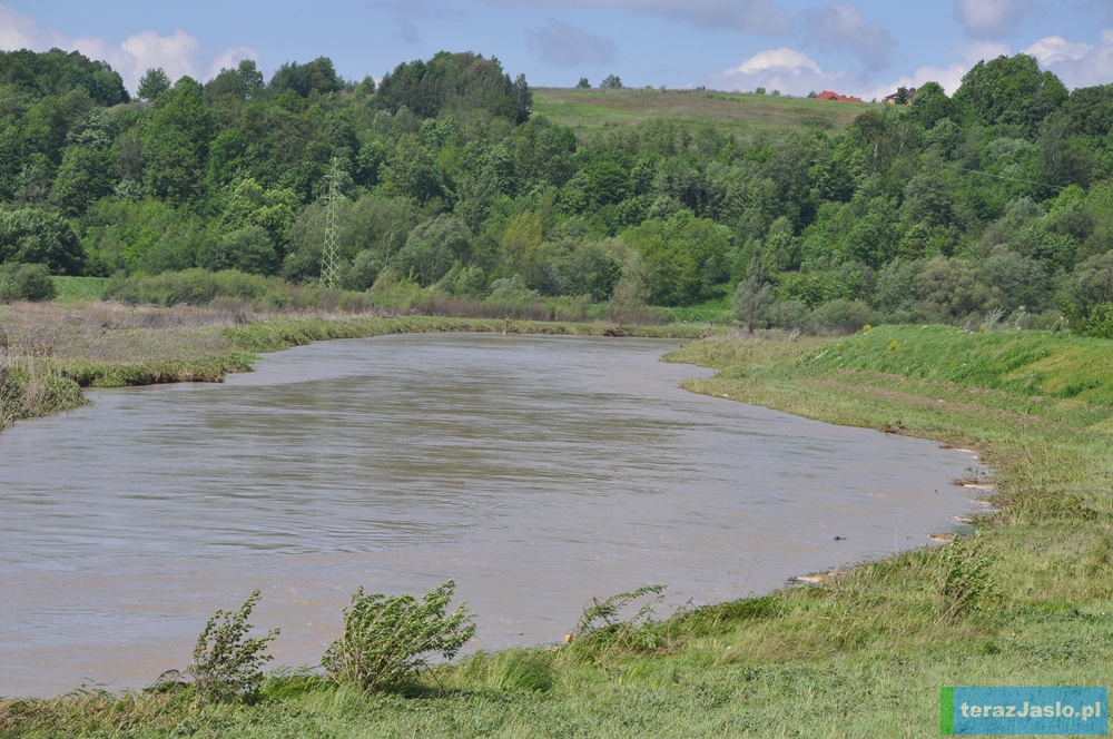 Rzeka Ropa na wysokości osiedla Gądki