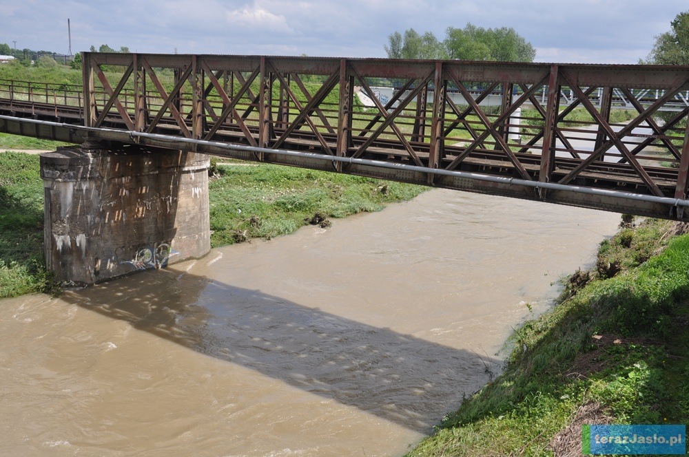 Rzeka Jasiołka na wysokości mostu kolejowego