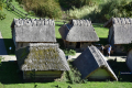 EDD_2026_Trzcinica_012