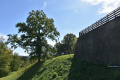 EDD_2026_Trzcinica_031