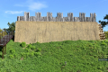 EDD_2026_Trzcinica_035