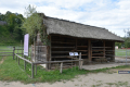 EDD_2026_Trzcinica_056