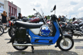 II_Zlot_PSW_070