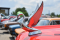 II_Zlot_PSW_078