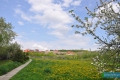 inwestycje013