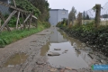 inwestycje044