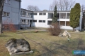 JDK_przed-06