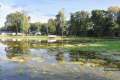 Park w Skołyszynie