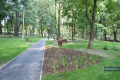 Park w Skołyszynie