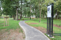 Park w Skołyszynie