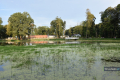 Park w Skołyszynie