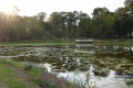 Park w Skołyszynie
