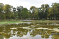 Park w Skołyszynie