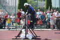 Zawody_OSP_2026_026