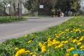 Ulica Kolejowa przed rozbudową