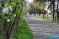 Ulica Kolejowa przed rozbudową