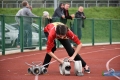 X Powiatowe Zawody Sportowo-Pożarnicze