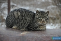 20141228-036zima