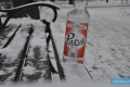 20141228-099zima