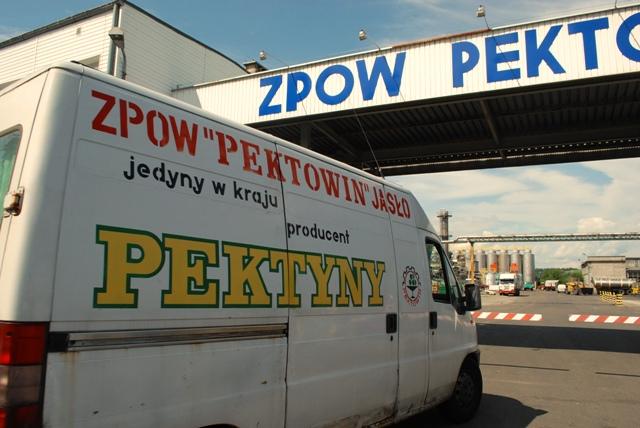 Pektowin