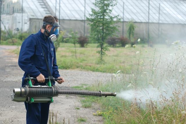 Odkomarzanie za pomocą specjalnej dmuchawy do rozpylania środków owadobójczych. Fot. Damian Palar / terazJaslo.pl