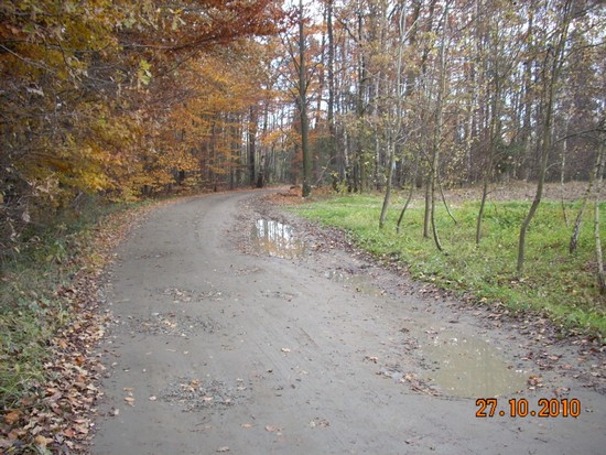 Fot. Józef Zając