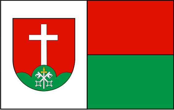 Projekt flagi gminy Brzyska