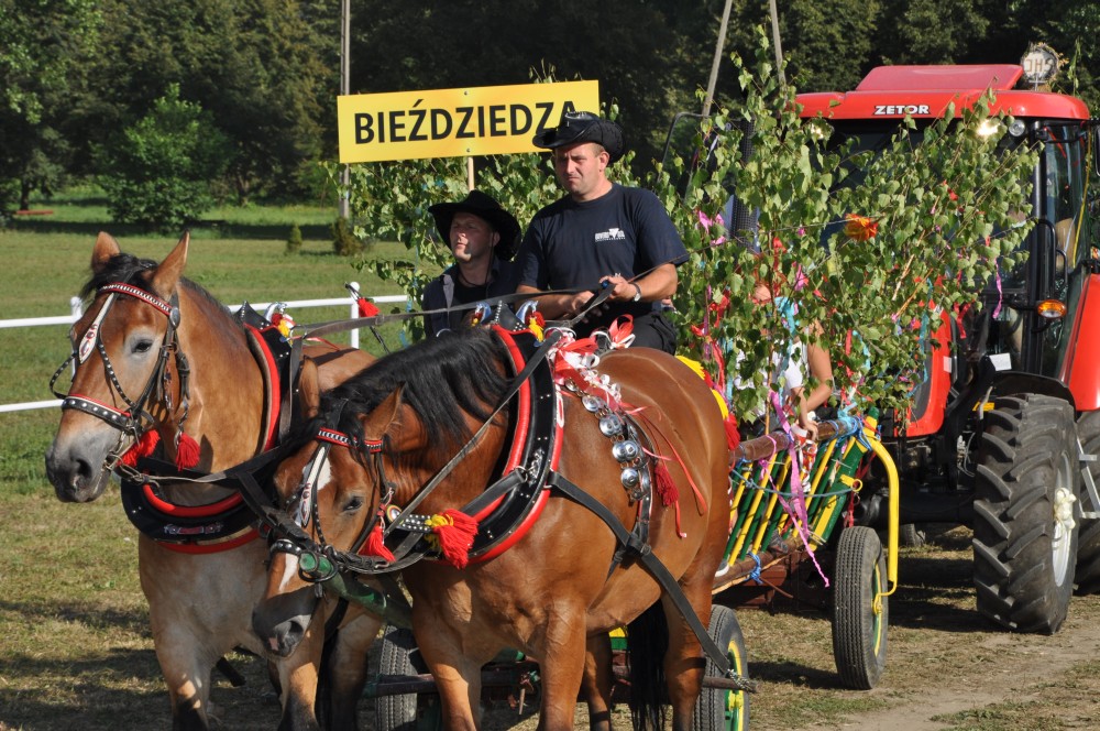 Dożynki Gminne w Kołaczycach Dożynki Gminne w Kołaczycach