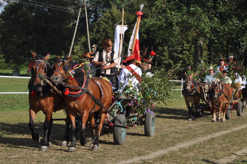 Dożynki Gminne w Kołaczycach Dożynki Gminne w Kołaczycach