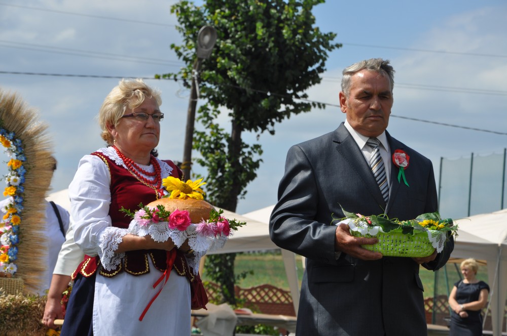 Dożynki Powiatu Jasielskiego 2013 w Skołyszynie Dożynki Powiatu Jasielskiego 2013 w Skołyszynie