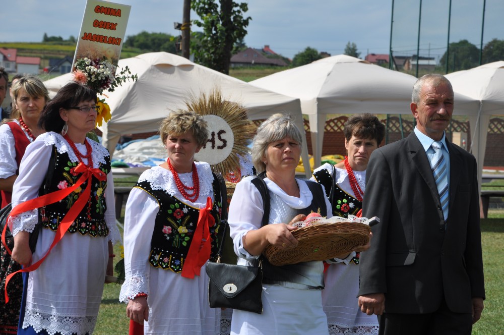 Dożynki Powiatu Jasielskiego 2013 w Skołyszynie