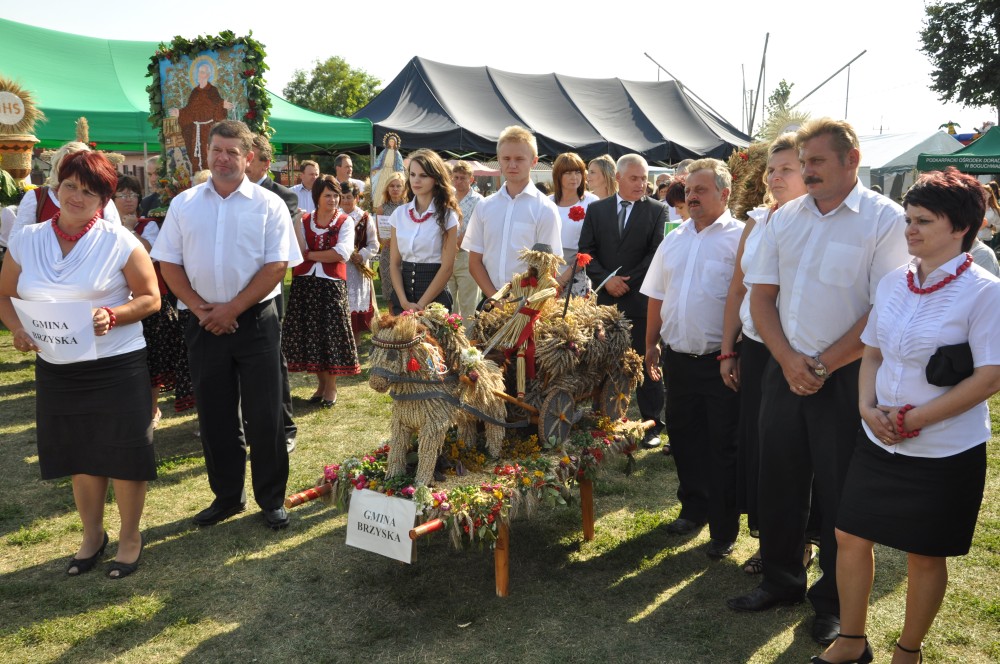 Dożynki Powiatu Jasielskiego 2013 w Skołyszynie Dożynki Powiatu Jasielskiego 2013 w Skołyszynie