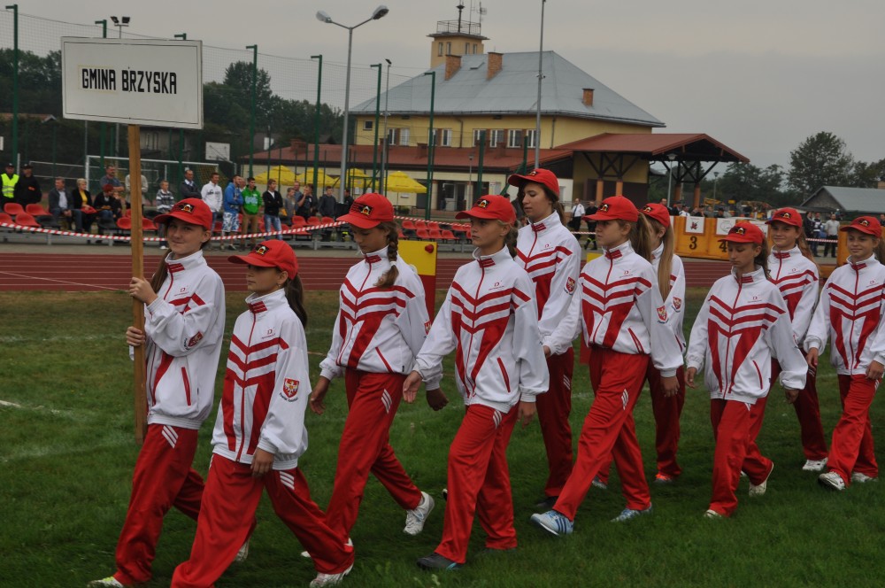 VIII Powiatowe Zawody Sportowo-Pożarnicze Jednostek OSP i MDP