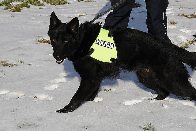 Fot. © KPP w Jaśle